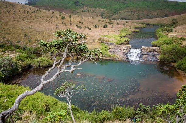 Horton Plains National Park